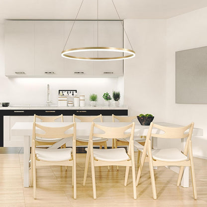 Závěsný LED lustr, ANINA, 34W, 1 kruh, Průměr 50 cm, Studené/Teplé/Neutrální světlo 3000K/4000K/6000K, Stmívatelné, Lesklá zlatá bílá, Nastavitelná výška, Kovové a akrylové LED lustry s dálkovým ovládáním Výchozí název Alessandro Design