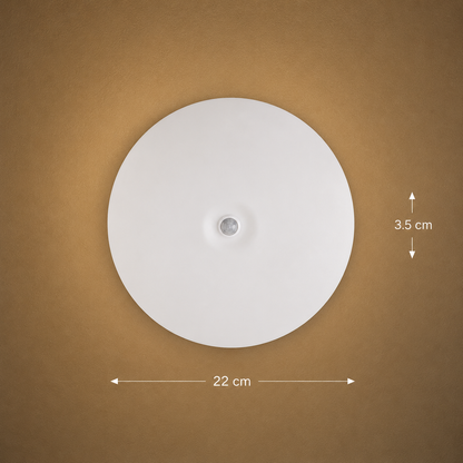 LED stropní svítidlo PL200/17R 24W Cold Light 6000k White