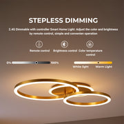 LED lustr s dálkovým ovládáním RINOVA 66W, 2 kruhy, studené/teplé/neutrální světlo, stmívatelné, lesklé zlaté LED lustry s dálkovým ovládáním Výchozí název Alessandro Design
