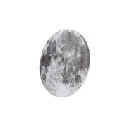 LED lustr MARTE 41W, průměr 30cm, studené/teplé/neutrální světlo, šedý LED lustr Výchozí název Alessandro Design