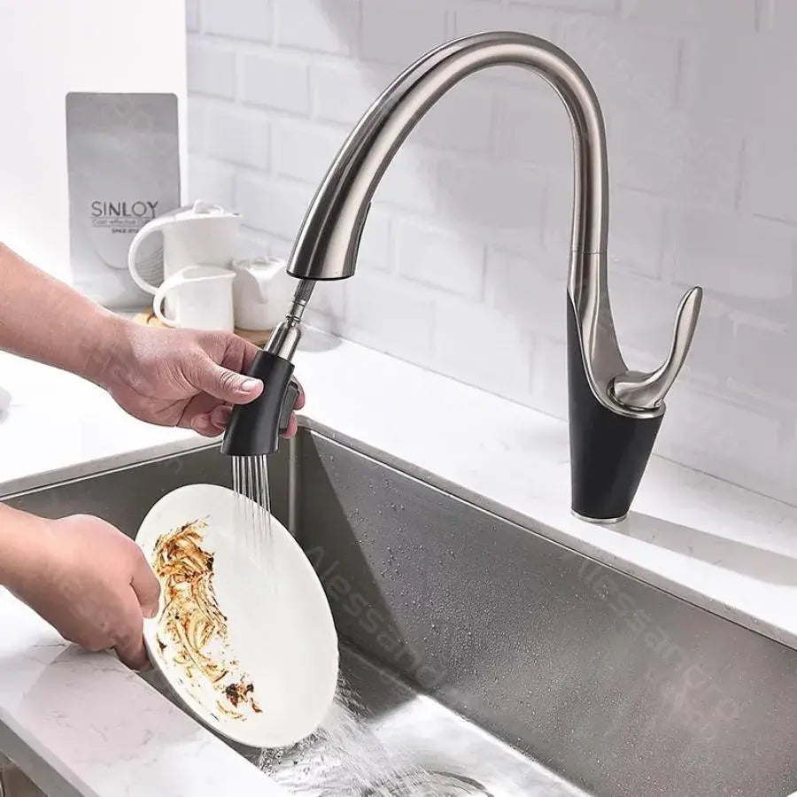 Kuchyňská baterie s výsuvnou sprchou, sanitární mosaz, chrom, W058 Kuchyňské baterie Výchozí název Alessandro Design