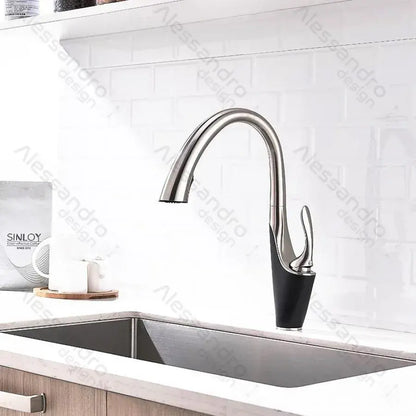 Kuchyňská baterie s výsuvnou sprchou, sanitární mosaz, chrom, W058 Kuchyňské baterie Výchozí název Alessandro Design