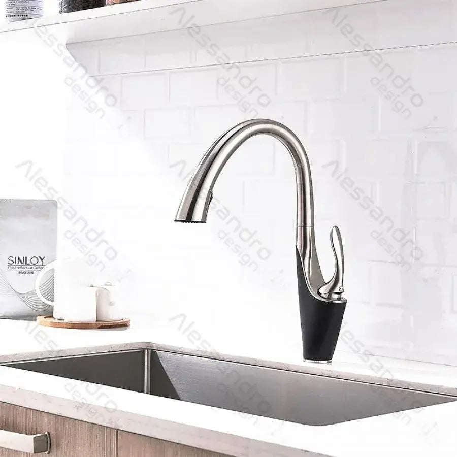 Kuchyňská baterie s výsuvnou sprchou, sanitární mosaz, chrom, W058 Kuchyňské baterie Výchozí název Alessandro Design