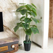 Umělá rostlina Alocasia odora, bez květináče, 150 cm Zelená Umělé pokojové rostliny Výchozí název Alessandro Design