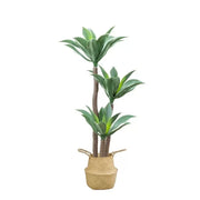 Umělá rostlina Dracaena fragrans, bez květináče, 180 cm Zelená Umělé pokojové rostliny Výchozí název Alessandro Design